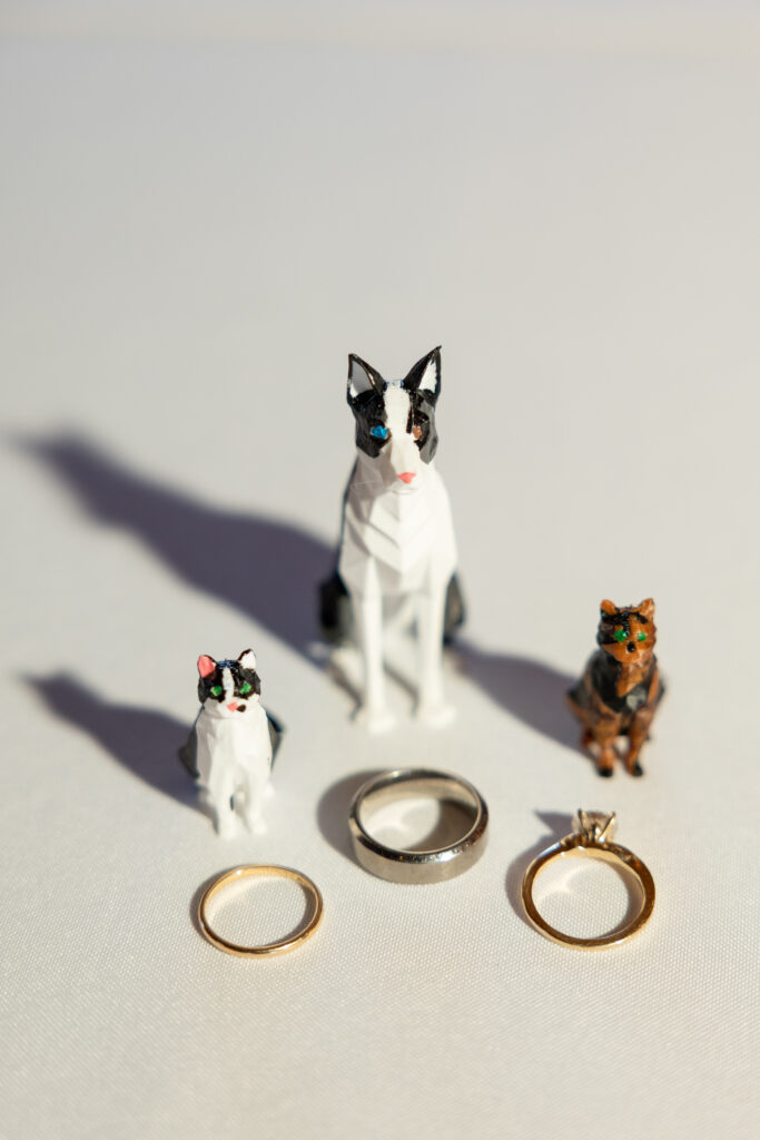 Wedding rings displayed with pet figurines for wedding detail photos
